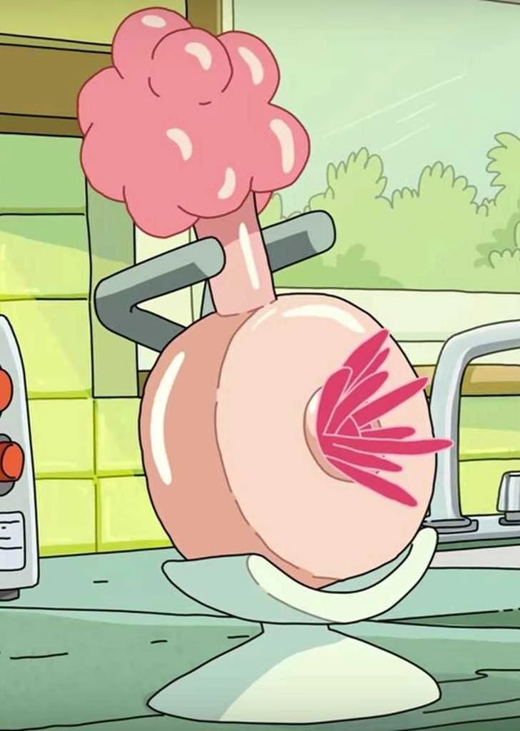 A Plumbus